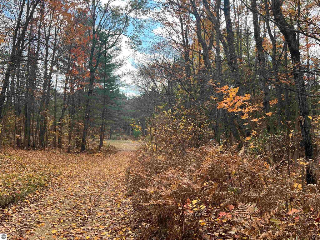 Photo of 000 Wildwood Shores Drive, Kalkaska, MI 49646 (MLS # 1939993)