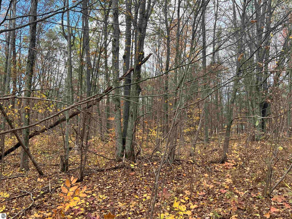 Photo of 000 Wildwood Shores Drive, Kalkaska, MI 49646 (MLS # 1939993)