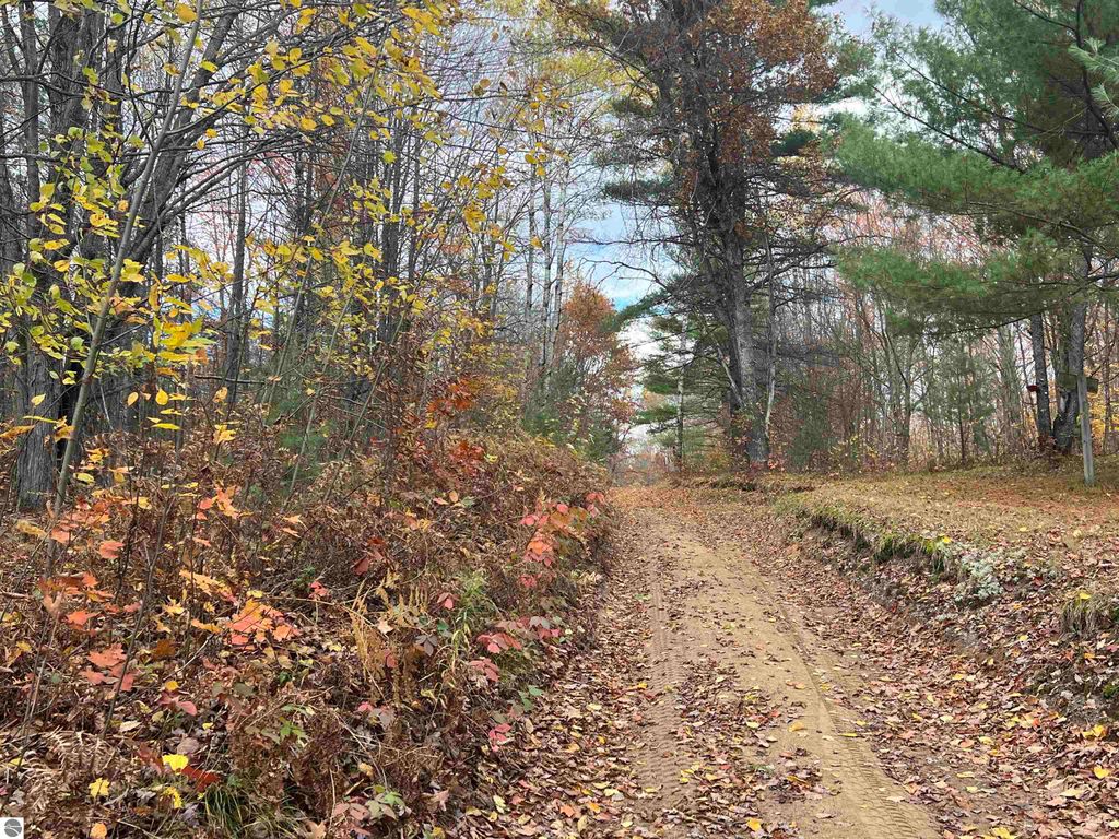 Photo of 000 Wildwood Shores Drive, Kalkaska, MI 49646 (MLS # 1939993)