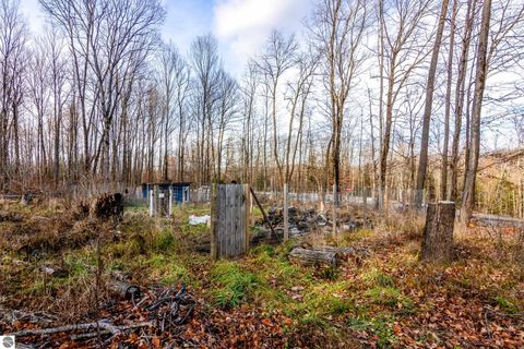 Tiny photo for 4482 Schuss Mountain Road, Bellaire, MI 49615 (MLS # 1940774)