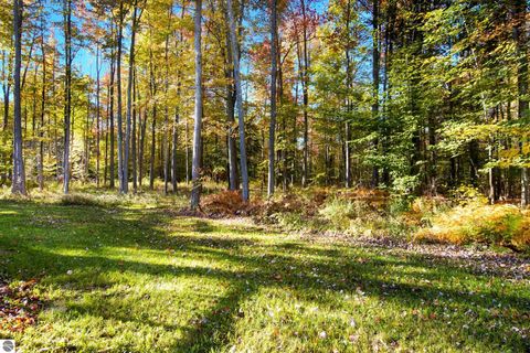 Tiny photo for 7273 Cadillac Highway, Benzonia, MI 49616 (MLS # 1939616)