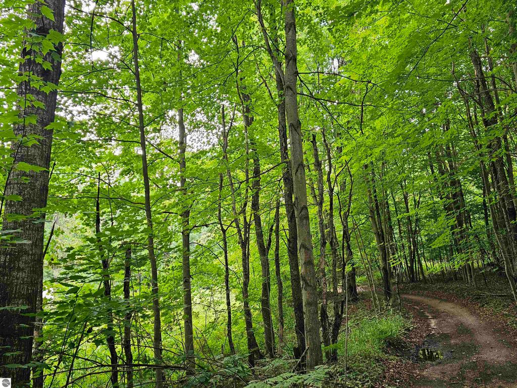 Photo of V/L Canyon Road, Leroy, MI 49665 (MLS # 1936184)