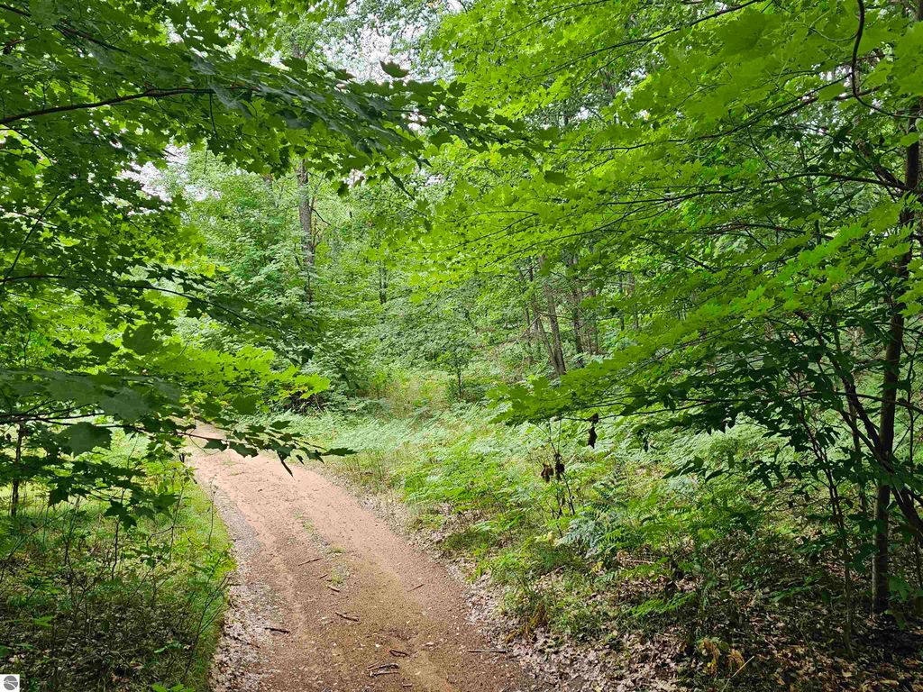 Photo of V/L Canyon Road, Leroy, MI 49665 (MLS # 1936184)