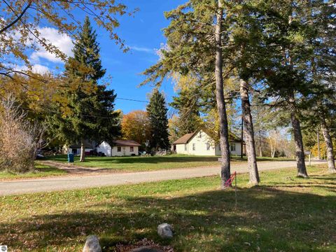 Tiny photo for 206 George Smith Jr. Street, Rose City, MI 48654 (MLS # 1940119)