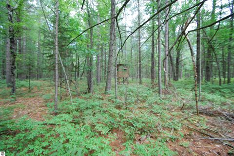 Tiny photo for 2782 River Ridge, Alger, MI 48610 (MLS # 1938222)