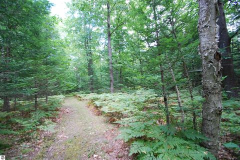 Tiny photo for 2782 River Ridge, Alger, MI 48610 (MLS # 1938222)