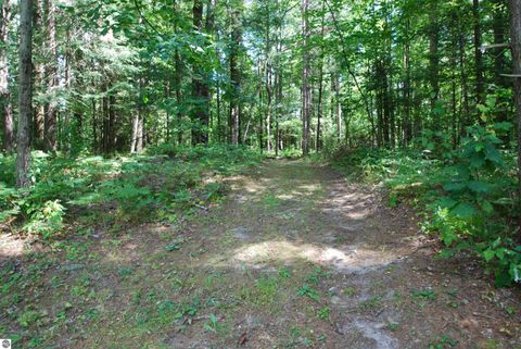 Tiny photo for 2782 River Ridge, Alger, MI 48610 (MLS # 1938222)