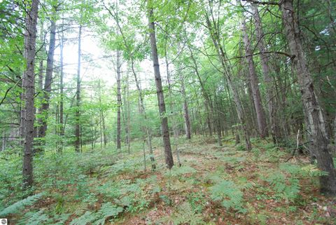 Tiny photo for 2782 River Ridge, Alger, MI 48610 (MLS # 1938222)