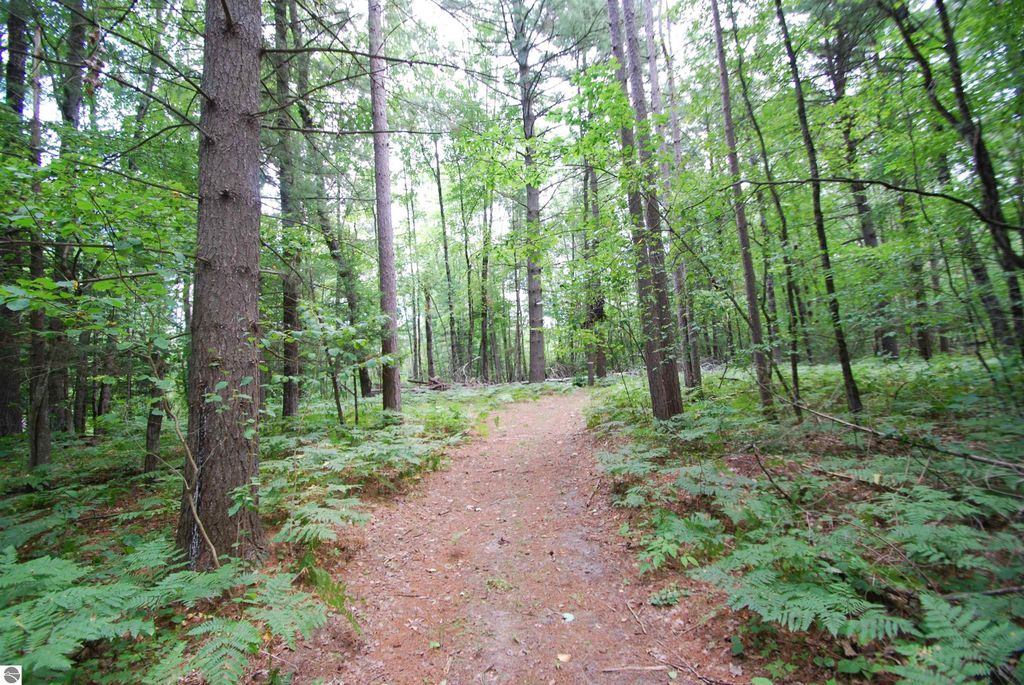 Photo of 2782 River Ridge, Alger, MI 48610 (MLS # 1938222)
