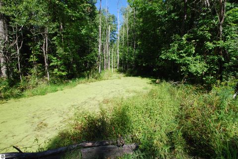 Tiny photo for 2782 River Ridge, Alger, MI 48610 (MLS # 1938222)