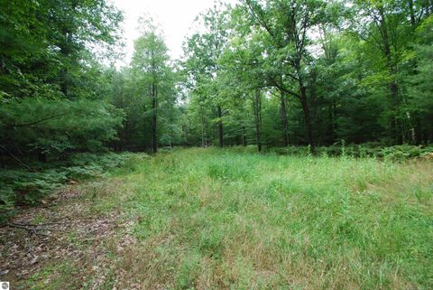 Tiny photo for 2782 River Ridge, Alger, MI 48610 (MLS # 1938222)