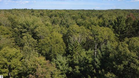 Tiny photo for 2782 River Ridge, Alger, MI 48610 (MLS # 1938222)