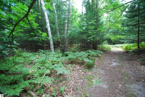 Tiny photo for 2782 River Ridge, Alger, MI 48610 (MLS # 1938222)