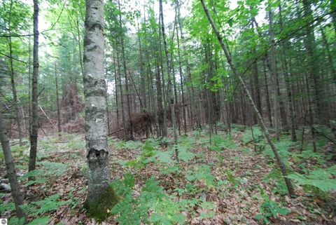 Tiny photo for 2782 River Ridge, Alger, MI 48610 (MLS # 1938222)