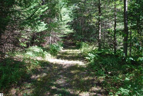 Tiny photo for 2782 River Ridge, Alger, MI 48610 (MLS # 1938222)