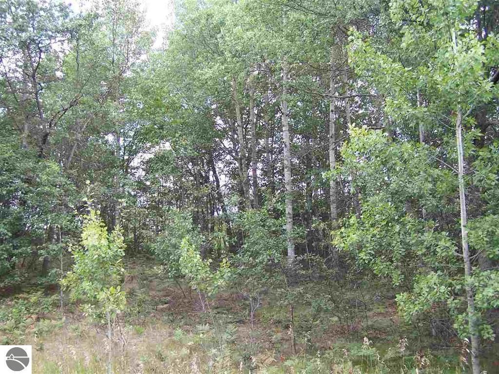 Photo of N Circle E, Farwell, MI 48622 (MLS # 1939940)