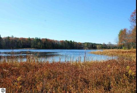 Photo of 312 SE Blue Heron Drive, Kalkaska, MI 49646 (MLS # 1937795)