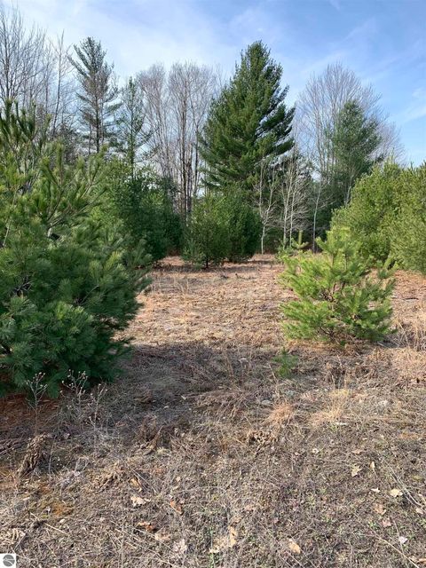 Tiny photo for 312 SE Blue Heron Drive, Kalkaska, MI 49646 (MLS # 1937795)