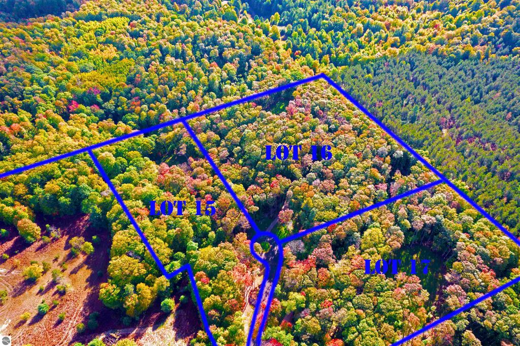 Photo of 3096 NW Wildflower Lane, Williamsburg, MI 49690 (MLS # 1940151)