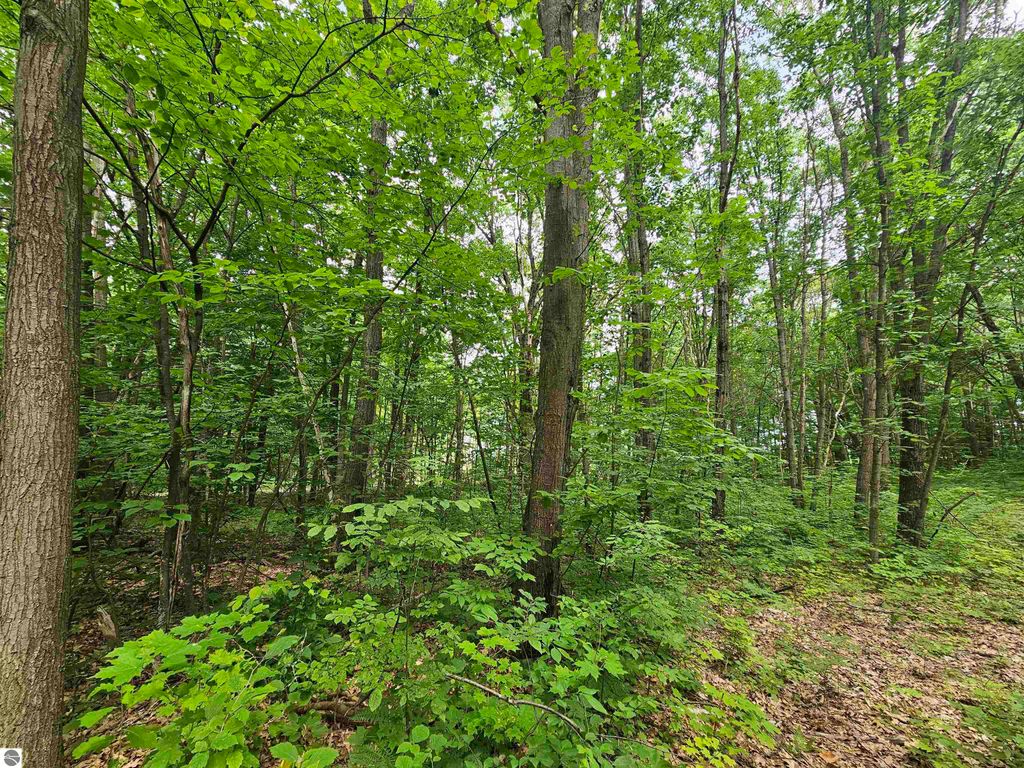 Photo of 6509 Mareny Drive, Marion, MI 49665 (MLS # 1936073)