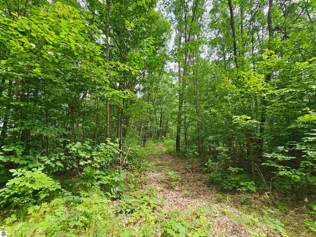 Photo of 6509 Mareny Drive, Marion, MI 49665 (MLS # 1936073)