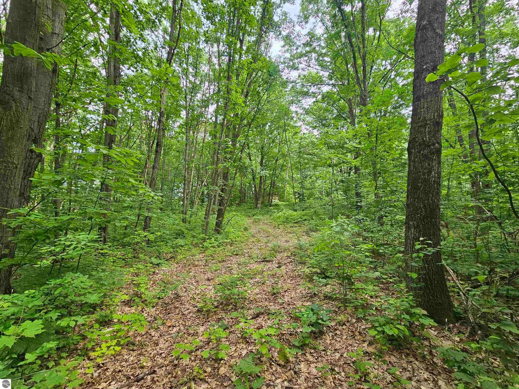 Photo of 6509 Mareny Drive, Marion, MI 49665 (MLS # 1936073)