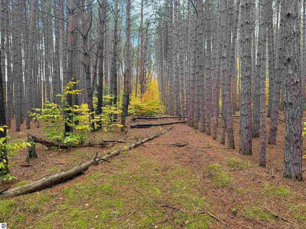 Photo of 0 Deer Run Drive, Cadillac, MI 49601 (MLS # 1939806)