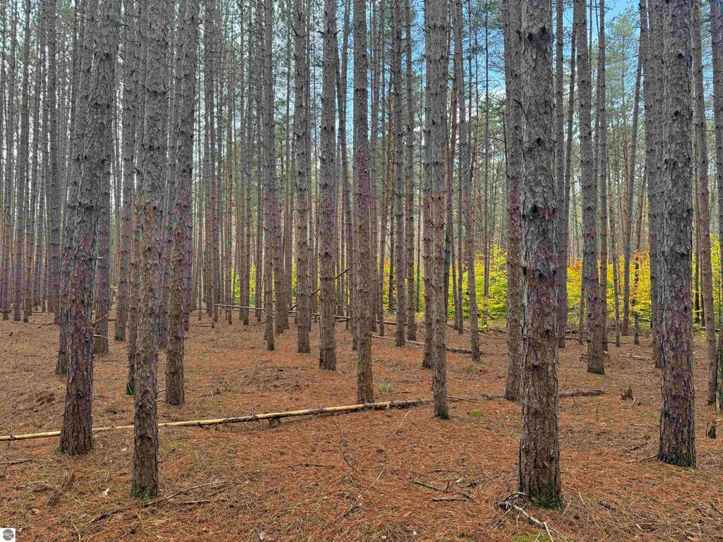 Photo of 0 Deer Run Drive, Cadillac, MI 49601 (MLS # 1939806)