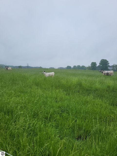 Tiny photo for 7550 Townline Road, Kingsley, MI 49649 (MLS # 1940519)