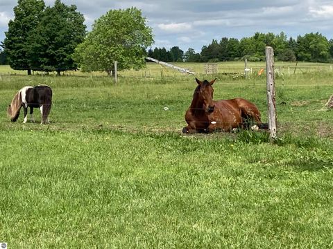 Tiny photo for 7550 Townline Road, Kingsley, MI 49649 (MLS # 1940519)