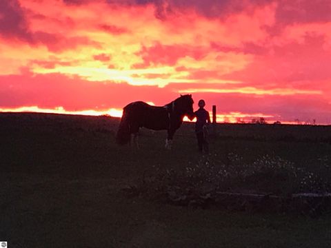 Tiny photo for 7550 Townline Road, Kingsley, MI 49649 (MLS # 1940519)