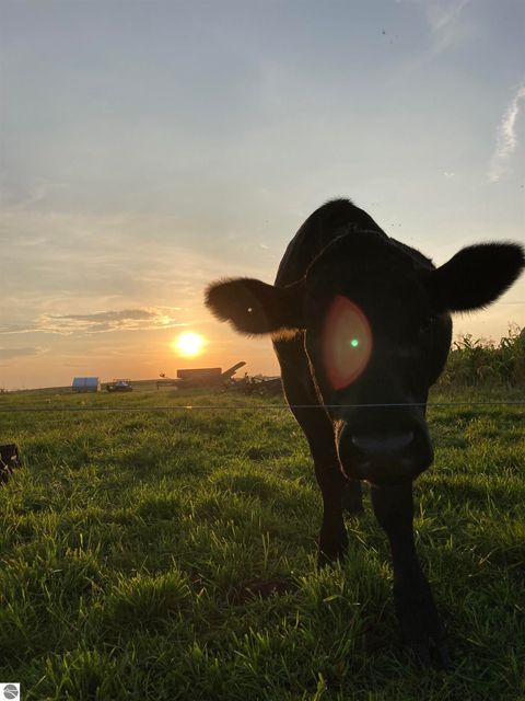 Tiny photo for 7550 Townline Road, Kingsley, MI 49649 (MLS # 1940519)