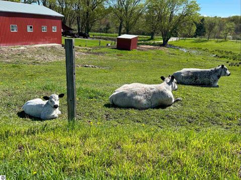 Tiny photo for 7550 Townline Road, Kingsley, MI 49649 (MLS # 1940519)