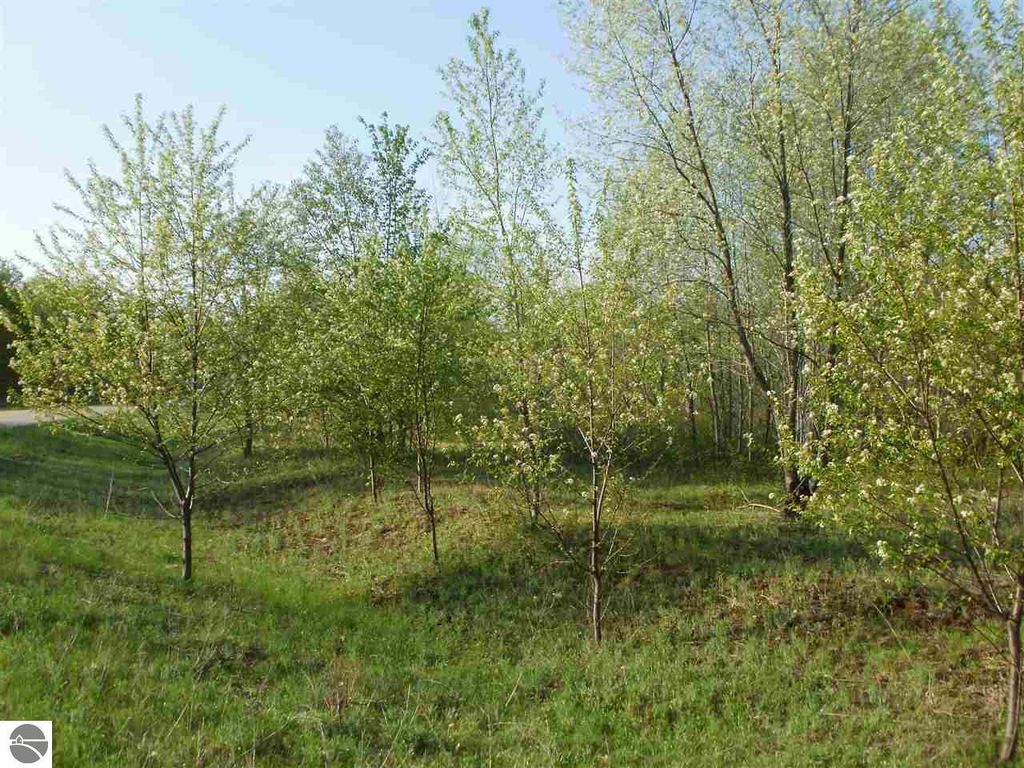 Photo of 47 Sweetwater Drive, Cadillac, MI 49601 (MLS # 1917108)