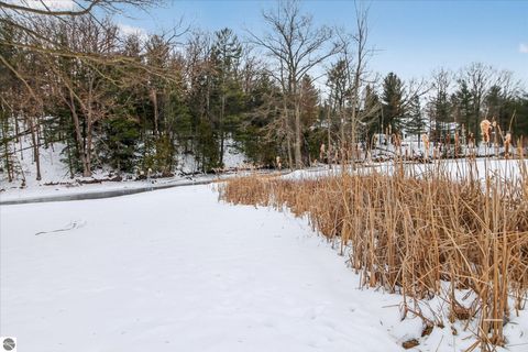 Tiny photo for 740 N Rolland Road, Weidman, MI 48893 (MLS # 1941313)