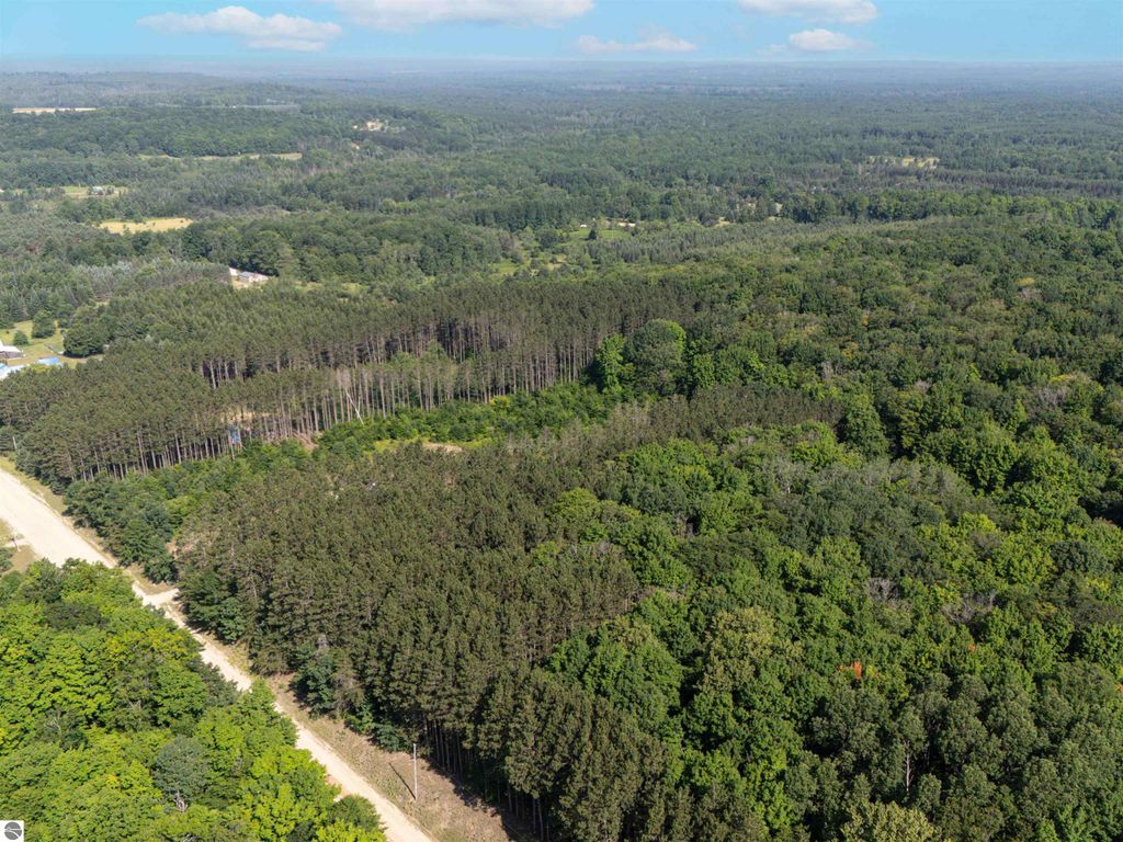 Photo of VL W Phelps Road, Manton, MI 49663 (MLS # 1936207)