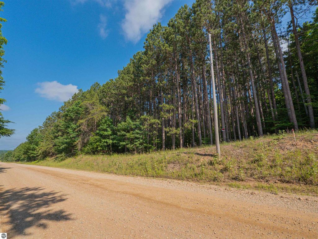 Photo of VL W Phelps Road, Manton, MI 49663 (MLS # 1936207)