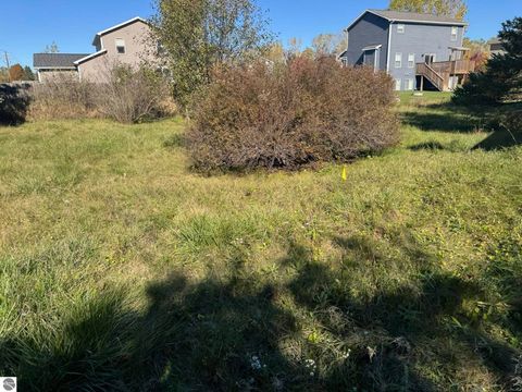 Tiny photo for 5371 S Crawford Road, Mt Pleasant, MI 48858 (MLS # 1941344)