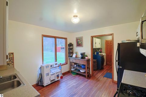 Tiny photo for 3805 S Chippewa Road, Mt Pleasant, MI 48858 (MLS # 1939858)