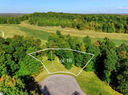 HEATHER RIDGE TRL, BEULAH, MI 49617 - Image 14256a64c0b3dd16e9a7caa8eefc2d99/1403531186