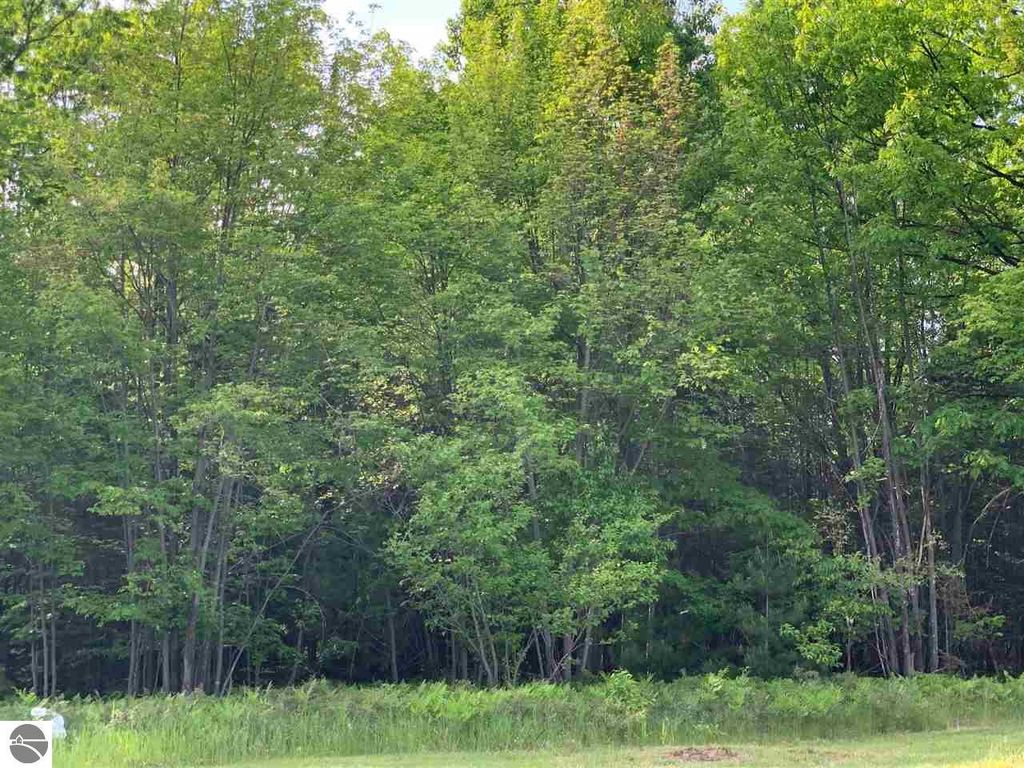 Photo of XXX W Houghton Lake Drive, Houghton Lake, MI 48629 (MLS # 1922724)