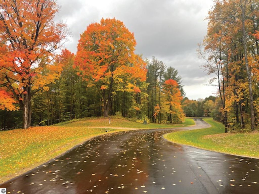 Photo of 5238 Paradise Ranch, Kingsley, MI 49649 (MLS # 1940153)