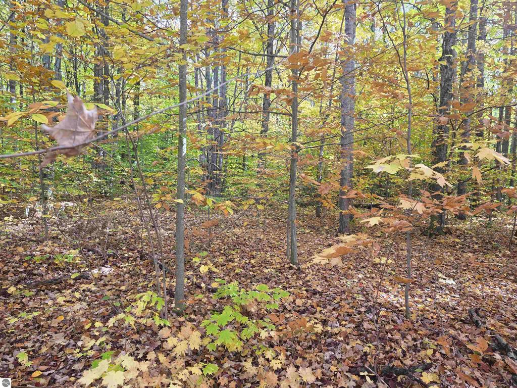Photo of 7741 Crestrose Drive, Mancelona, MI 49659 (MLS # 1939548)
