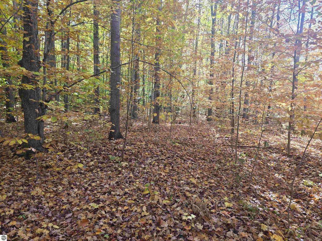 Photo of 7741 Crestrose Drive, Mancelona, MI 49659 (MLS # 1939548)