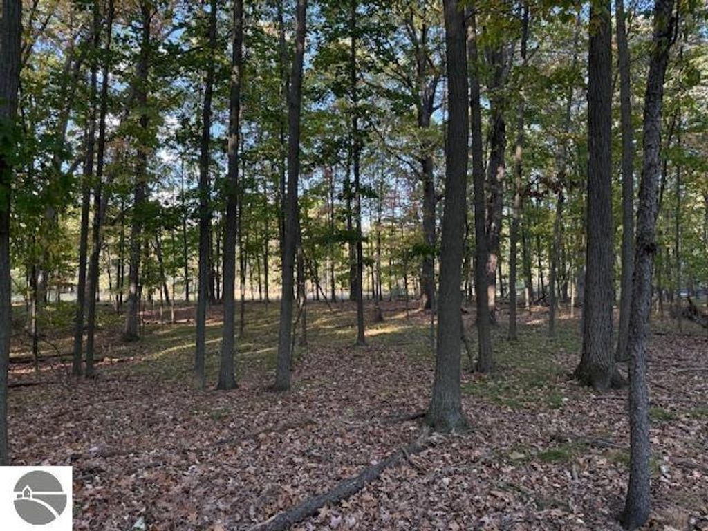 Photo of TBD Hiawatha Drive, Mt Pleasant, MI 48858 (MLS # 1939367)