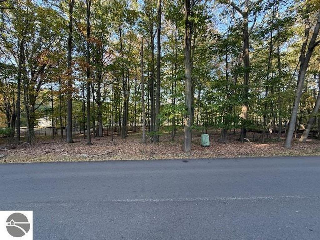 Photo of TBD Hiawatha Drive, Mt Pleasant, MI 48858 (MLS # 1939367)