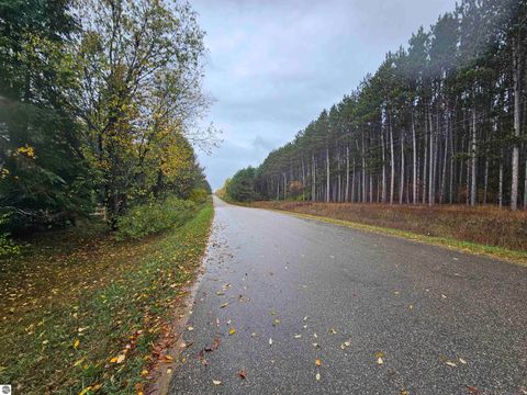 Tiny photo for 4464 E Wagner Road, Lake City, MI 49651 (MLS # 1940442)