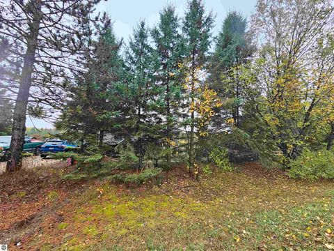 Tiny photo for 4464 E Wagner Road, Lake City, MI 49651 (MLS # 1940442)