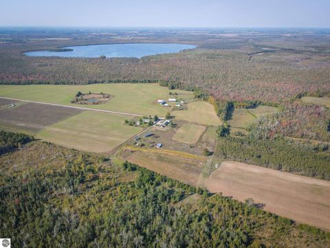 Tiny photo for 7557 Loop Road, Posen, MI 49776 (MLS # 1941188)