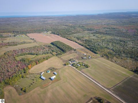 Tiny photo for 7557 Loop Road, Posen, MI 49776 (MLS # 1941188)